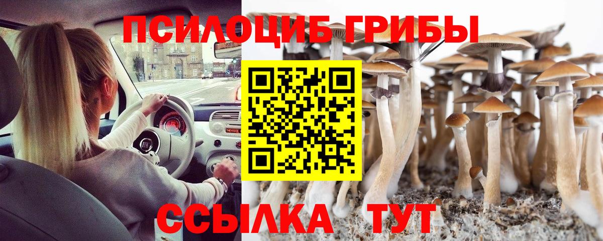 Псилоцибиновые грибы прущие грибы  Псилоцибиновые грибы Psilocybe  Шарыпово  Вход с VPN 